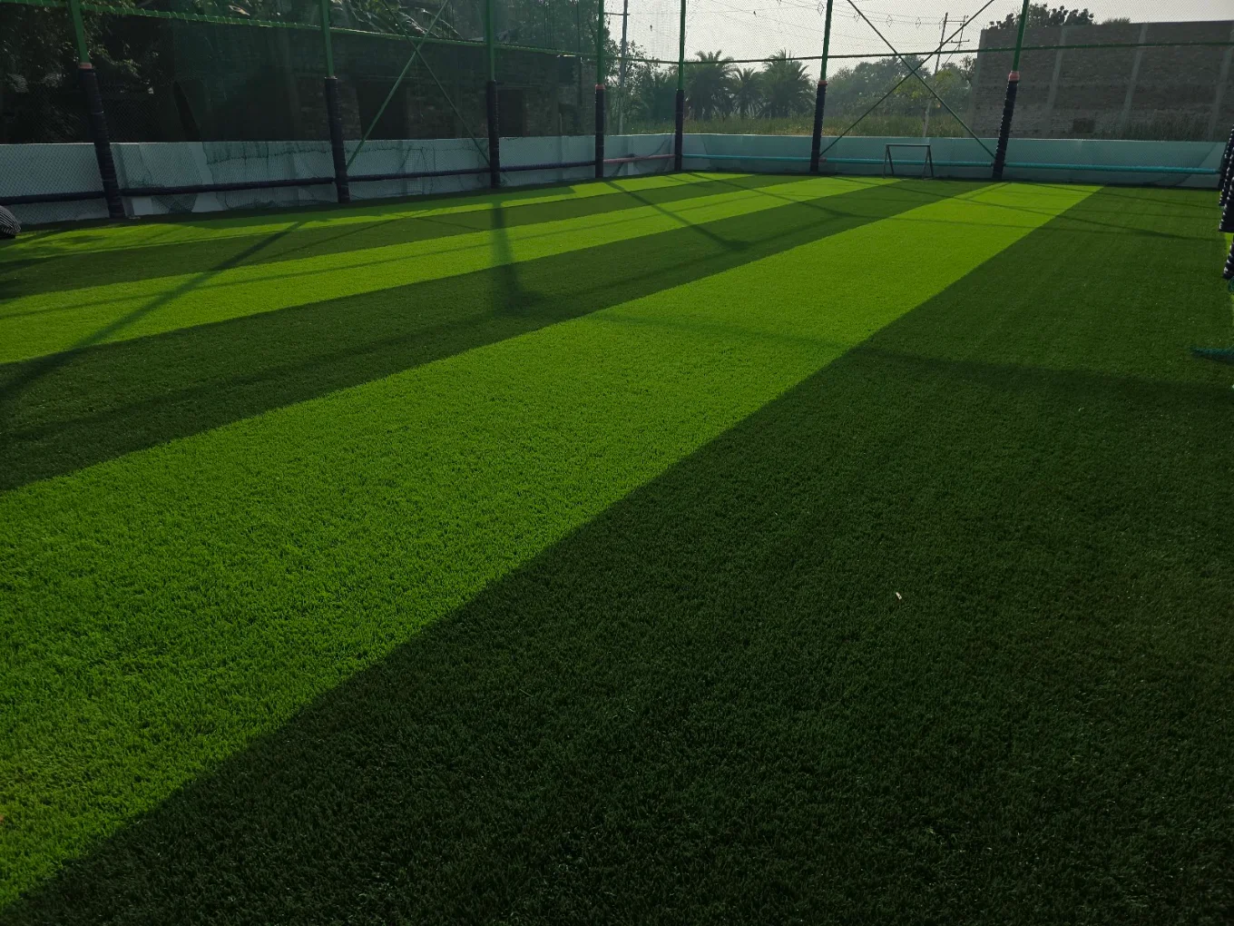 Turf surface with long sunlight shadows